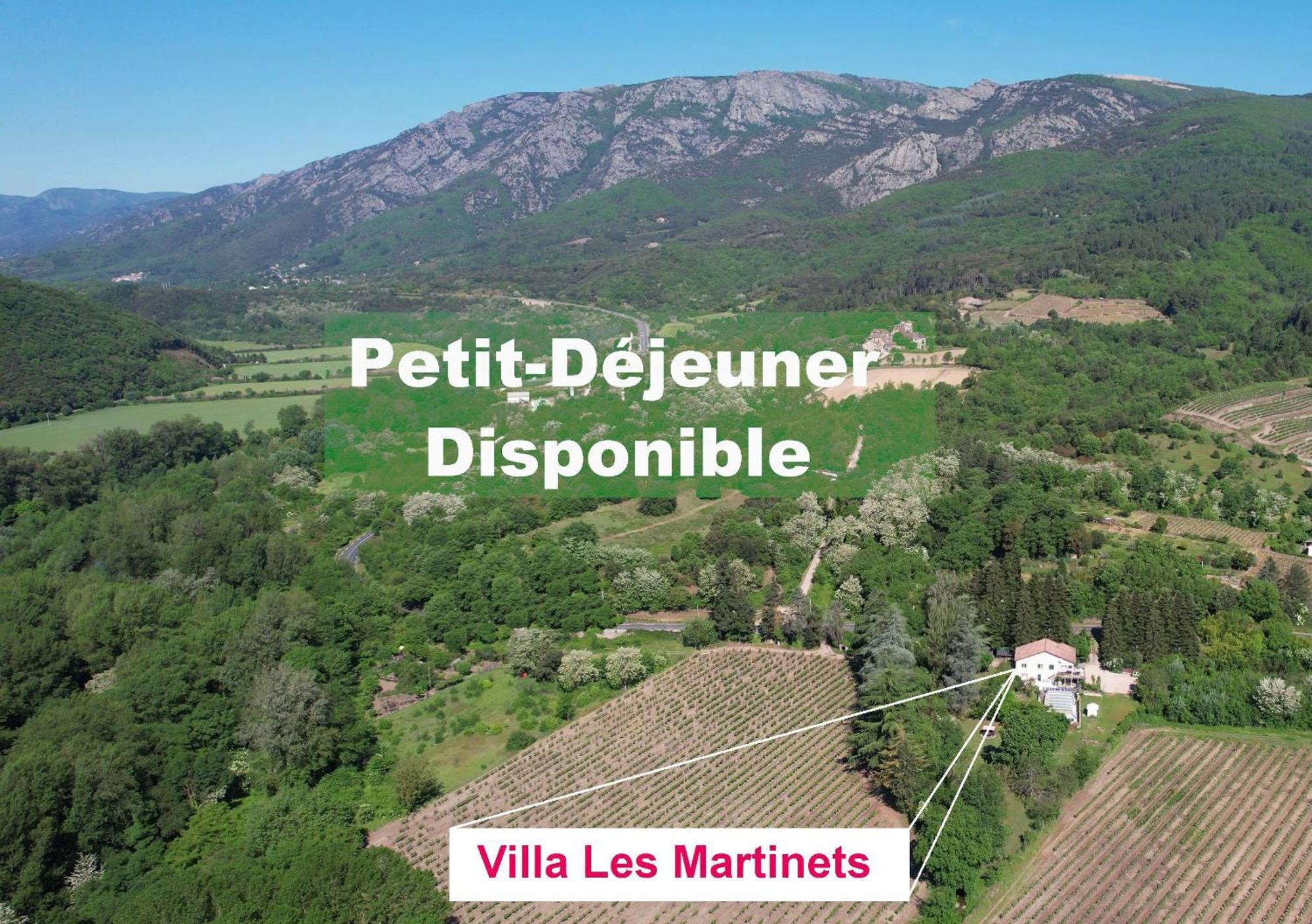 Villa Les Martinets: Countryside Retreat with Pool and Jacuzzi Le Poujol-sur-Orb Exterior photo